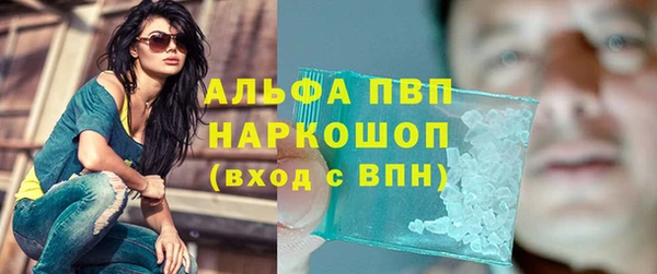 прущие грибы Абинск