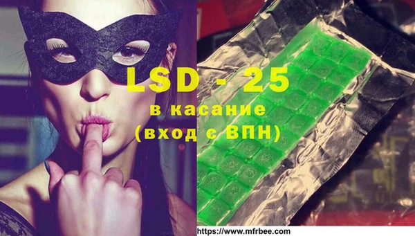 прущие грибы Абинск