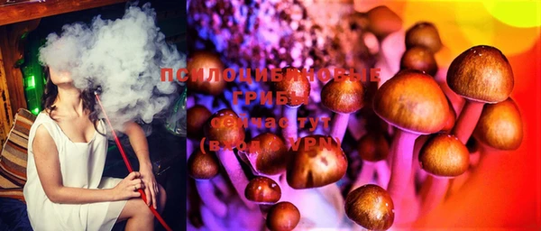 не бодяженный Протвино