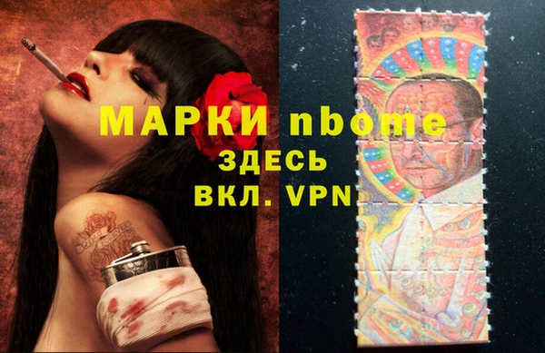прущие грибы Абинск